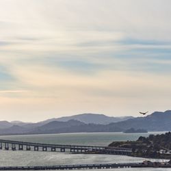 Nicholl Knob - Bridge and bird.