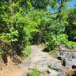 Difficult Run Stream Valley Park