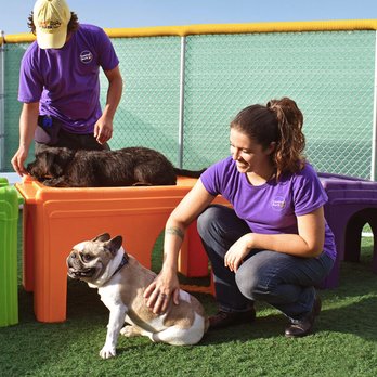 Central Bark Carol Stream - Pet Groomers Near Me - Carol Stream, Illinois