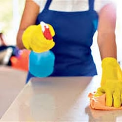 Busy Bee Cleaning Company