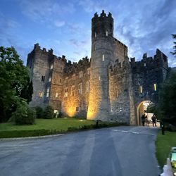 Kilkea Castle Hotel - Cool huh