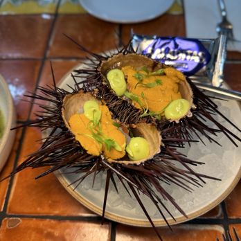 Holbox - Sea urchin + Scallop Ceviche - Latin American Near Me - Los Angeles, California Holbox - Sea urchin + Scallop Ceviche - Latin American Near Me - Los Angeles, California