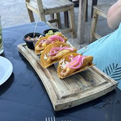 Tiny Gecko - Fish tacos