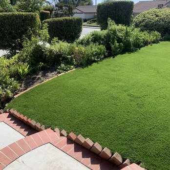 Turf Plus Pro - After - Artificial Turf Near Me