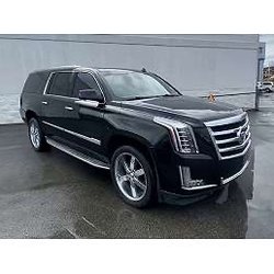 Washington Elite Limousine