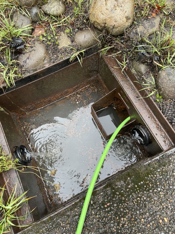 Slide of Busy Bee Drain