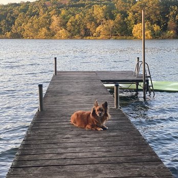 Stephanie Checkley - Keller Williams Premier Realty - Every member of the family enjoying their new lake home in Minnesota - Real Estate Agents Near Me - Woodbury, Minnesota Stephanie Checkley - Keller Williams Premier Realty - Every member of the family enjoying their new lake home in Minnesota - Real Estate Agents Near Me - Woodbury, Minnesota