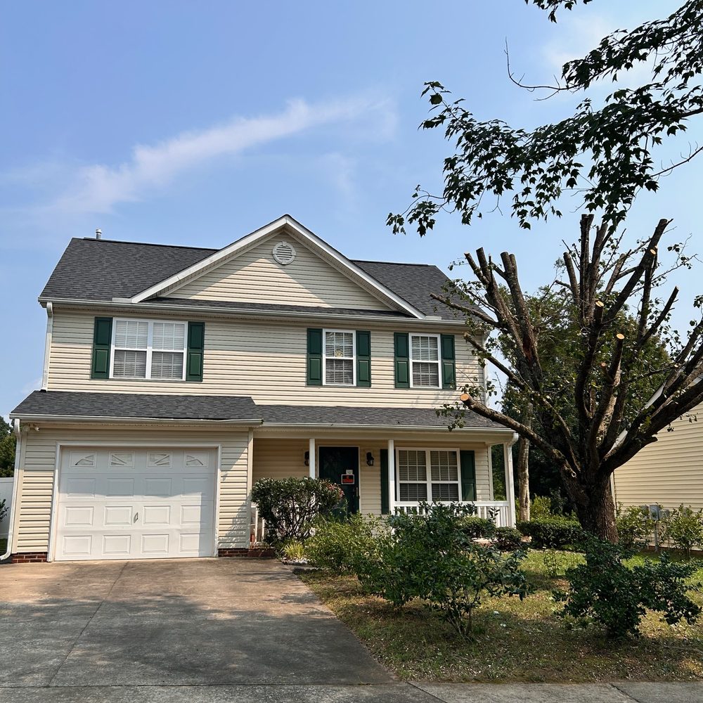 All Green Tree Care - Tree Services Near Me - High Point, North Carolina All Green Tree Care - Tree Services Near Me - High Point, North Carolina