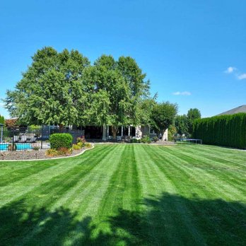 Pipo's Lawn Care - Lawn Services Near Me - Burbank, Washington Pipo's Lawn Care - Lawn Services Near Me - Burbank, Washington