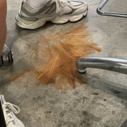 Salon Savvy