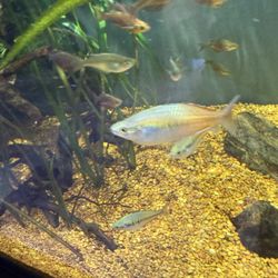 Pet & Aquatic Warehouse