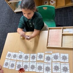Wesley Chapel Montessori