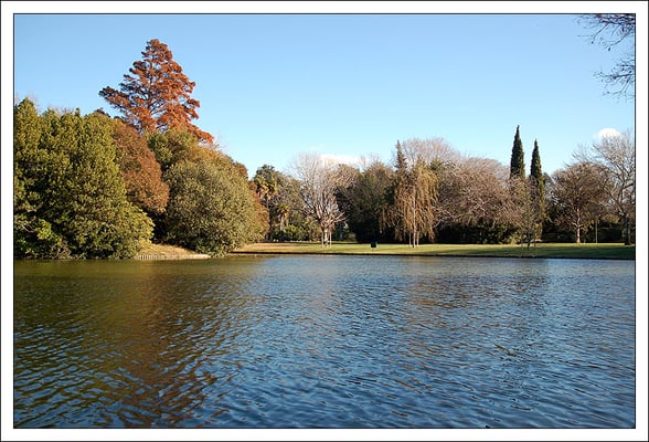 Parc Borély by null