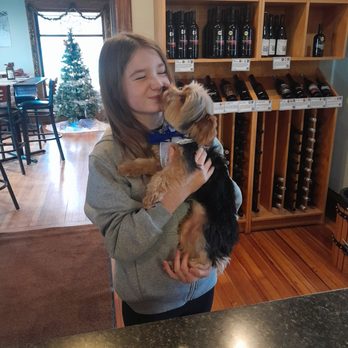 Presque Isle Wine Cellars - Dog friendly. - Wine Tasting Room Near Me - North East, Pennsylvania Presque Isle Wine Cellars - Dog friendly. - Wine Tasting Room Near Me - North East, Pennsylvania