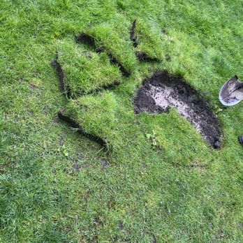 M & B Septic Service - Super impressed how they were able to put the grass back after emptying the tank. - Septic Services Near Me