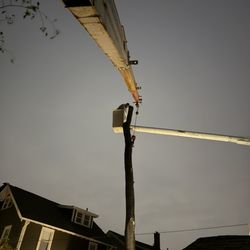 A&S Tree Service