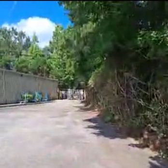 Better Tree Services - Paved path leading to the back of the building. - Tree Services Near Me - Conway, South Carolina Better Tree Services - Paved path leading to the back of the building. - Tree Services Near Me - Conway, South Carolina