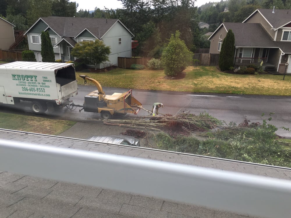Knotty Tree Service - tree service in Puyallup, WA