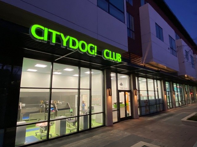 Citydog! Club - pet boarding facility in Mountain View, CA