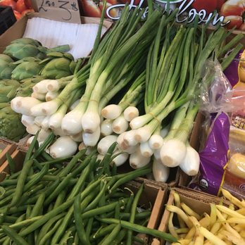Vgp Produce - Gorgeous green onions - Fruits & Veggies Near Me - Saint Petersburg, Florida Vgp Produce - Gorgeous green onions - Fruits & Veggies Near Me - Saint Petersburg, Florida
