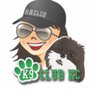 Photo of K9 Club Kc