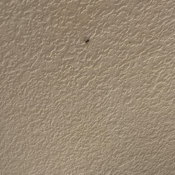 Best Western Orchard Inn - More flies - Hotels Near Me - Turlock, California Best Western Orchard Inn - More flies - Hotels Near Me - Turlock, California