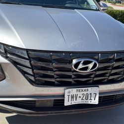 Hertz Rent A Car - Dead bugs? Dirtiness all over the car.