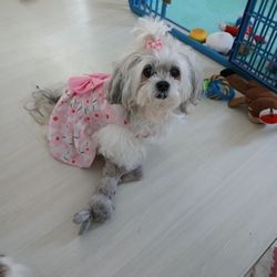 Bay Life Compounding Pharmacy - My beautiful, sweet Chloe!