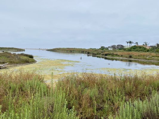 Malibu Lagoon State Beach by null