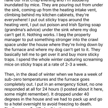 Deerwoods Real Estate Management - Full story pt 3 - Property Management Near Me - Denver, Colorado