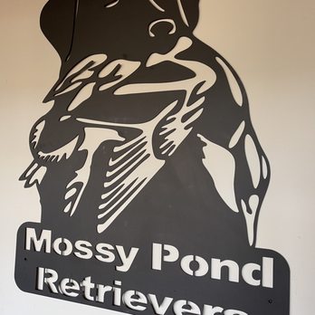 Mossy Pond Lodge - Wildlife Hunting Ranges Near Me - Patterson, Georgia