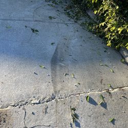 Hastie's Capitol Sand & Gravel - Damage to our driveway
