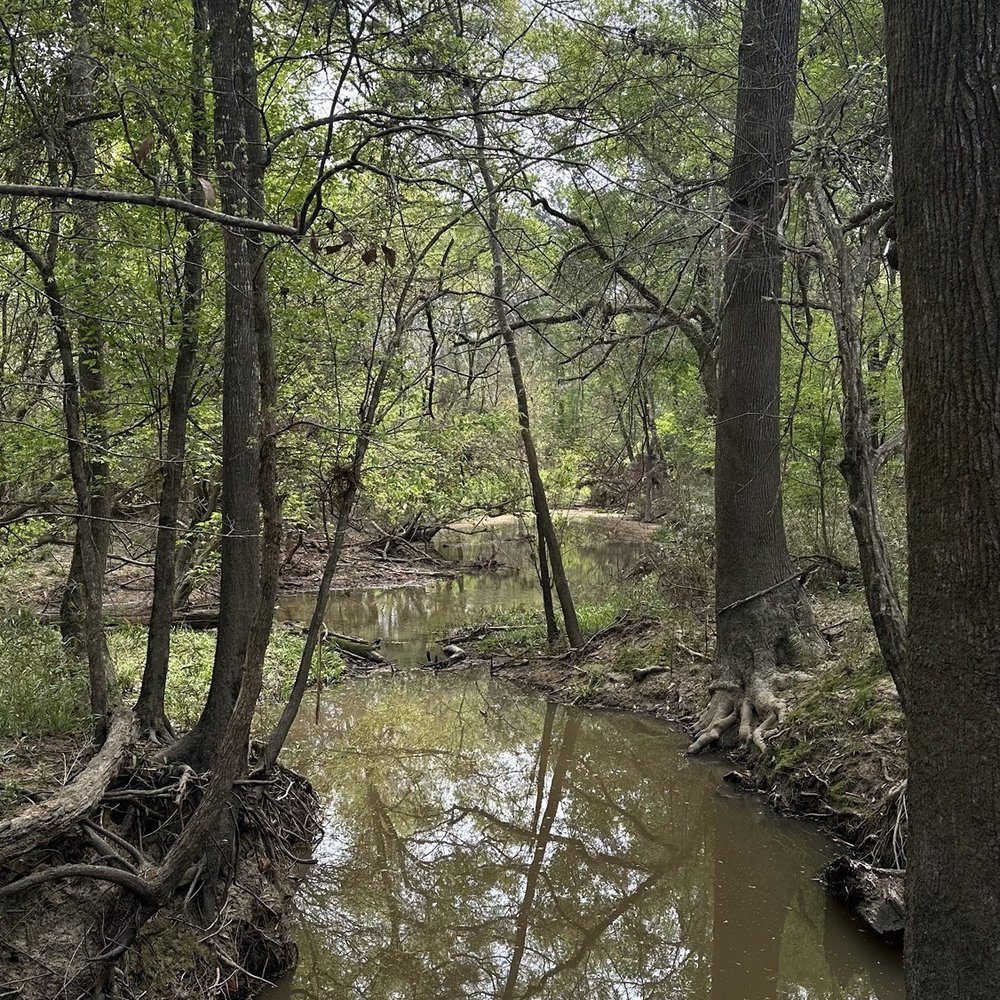 George Mitchell Nature Preserve - Parks Near Me - Spring, Texas George Mitchell Nature Preserve - Parks Near Me - Spring, Texas
