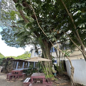 Coffee Gallery - Backyard seating area. - Coffee & Tea Near Me - Haleiwa, Hawaii