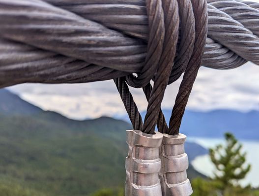 Sea to Sky Gondola by null
