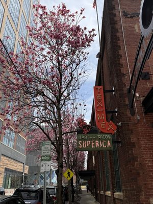 Superica by null