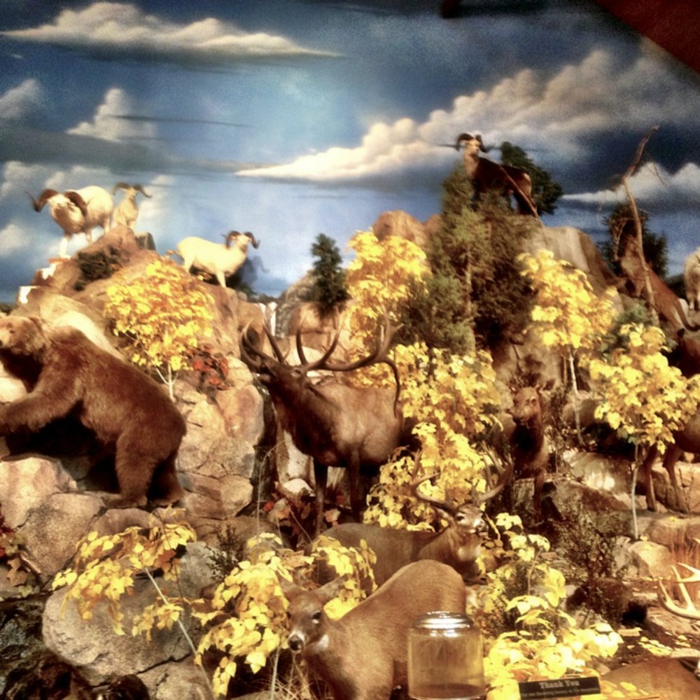 Cabela's - Huntin' season - Guns & Ammo Near Me - Verdi, Nevada