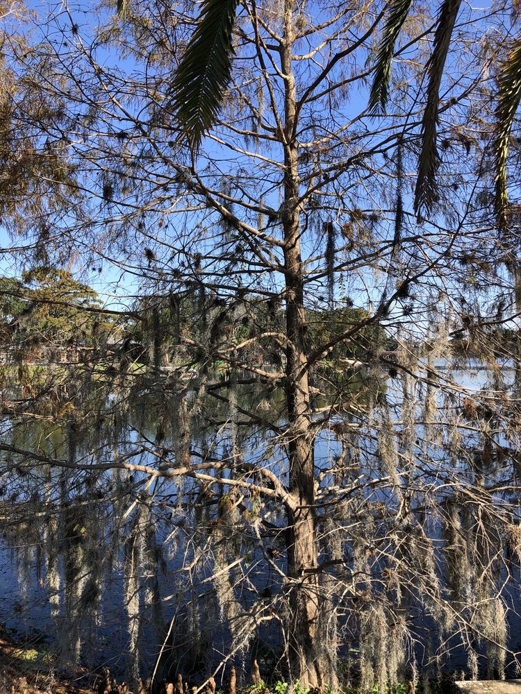 LAKE ROWENA PARK Updated May 2024 15 Photos 1200 Lake Shore Dr