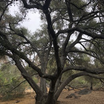 Felicita County Park - On the trails - Parks Near Me - Escondido, California