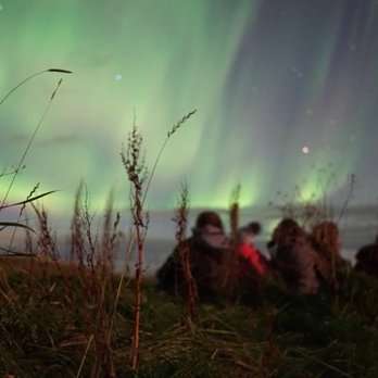 Under30Experiences - Northern lights in Iceland - Tours Near Me - Austin, Texas