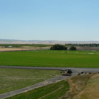 Amavi Cellars - Wineries Near Me - Walla Walla, Washington Amavi Cellars - Wineries Near Me - Walla Walla, Washington