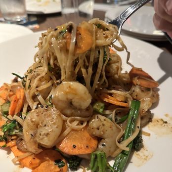 Yard House - Shrimp noodle- bit of spice - Bars Near Me - Tampa, Florida Yard House - Shrimp noodle- bit of spice - Bars Near Me - Tampa, Florida