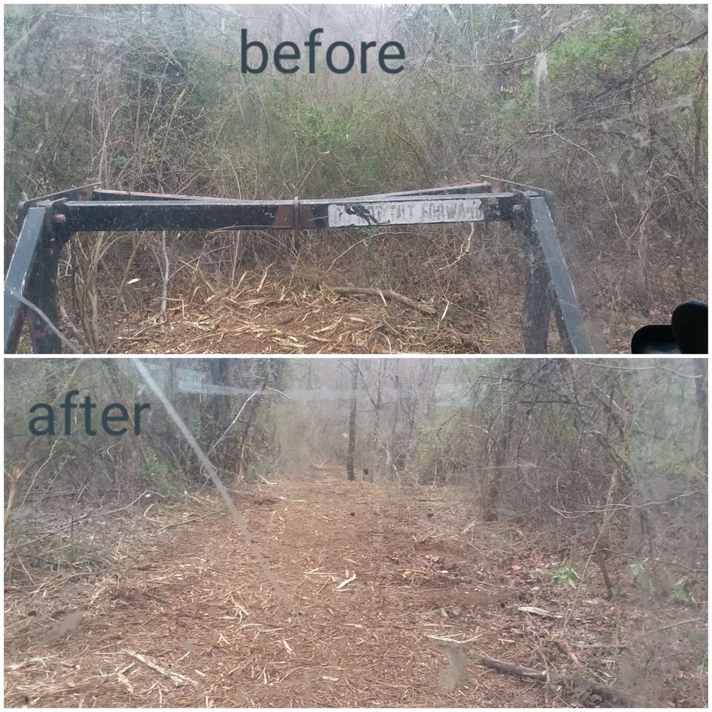 PARSONS’ LAND CLEARING AND SERVICES 2951 Bailey Rd, Albany, Ohio