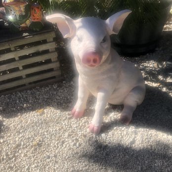The Stuffed Pig - Pigs - Breakfast & Brunch Near Me - Marathon, Florida