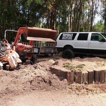 Mandell's Tree Service - Tree Services Near Me - Land O Lakes, Florida Mandell's Tree Service - Tree Services Near Me - Land O Lakes, Florida