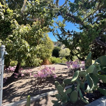 Heavenly Roadside Cafe - nice view in parking lot, clean - Breakfast & Brunch Near Me - Scotts Valley, California Heavenly Roadside Cafe - nice view in parking lot, clean - Breakfast & Brunch Near Me - Scotts Valley, California