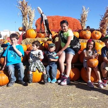 Galloping Goat Pumpkin Patch - Pumpkin Patches Near Me - Rio Rancho, New Mexico