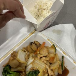 Red Wok - Chicken with fresh veggies