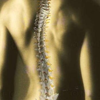 Tocco Chiropractic - Chiropractors Near Me - Clawson, Michigan Tocco Chiropractic - Chiropractors Near Me - Clawson, Michigan