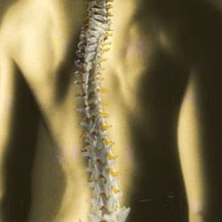 Tocco Chiropractic